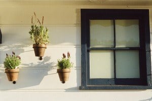 house-window-flowerpots