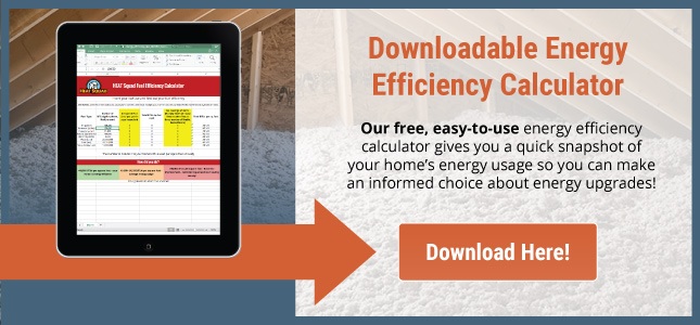 Downloadable Energy Efficiency Calculator
