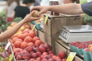 summer farmers market