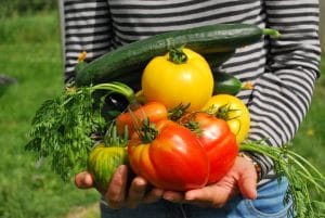 vegetables-742095_1920